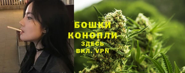 прущие крисы Кодинск