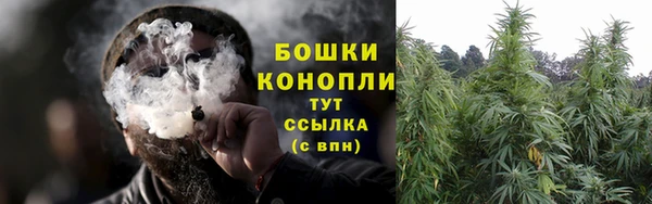 прущие крисы Кодинск