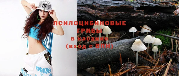 прущие крисы Кодинск