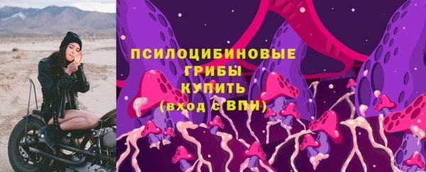 прущие крисы Кодинск