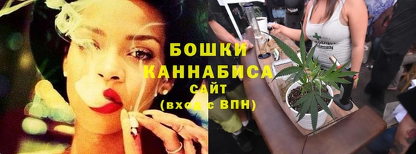прущие крисы Кодинск