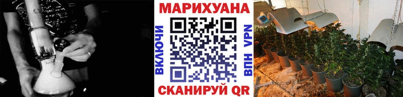 Купить закладки  Жирновск  Бошки Шишки ГИДРОПОН 